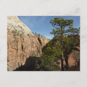 Stig till Angels Landing i Zion National Park Vykort