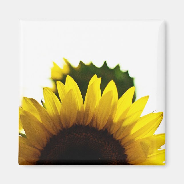 Stiga upp och magnet (Framsidan)