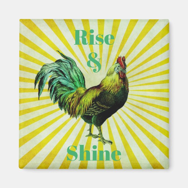 Stiga upp och Shine Magnet (Framsidan)