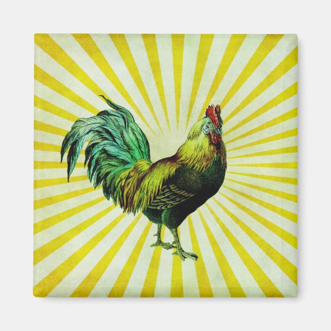 Stiga upp och Shine Magnet (Framsidan)