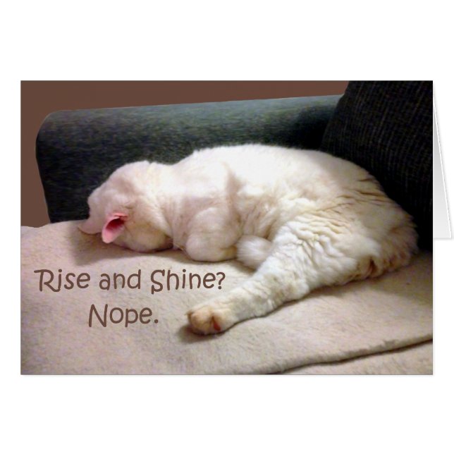 Stiga upp och Shine? Nej. Hälsningskort (Framsidan Horizontal)