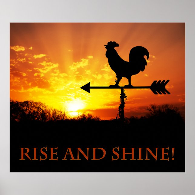 Stiga upp och Shine! Poster (Framsidan)