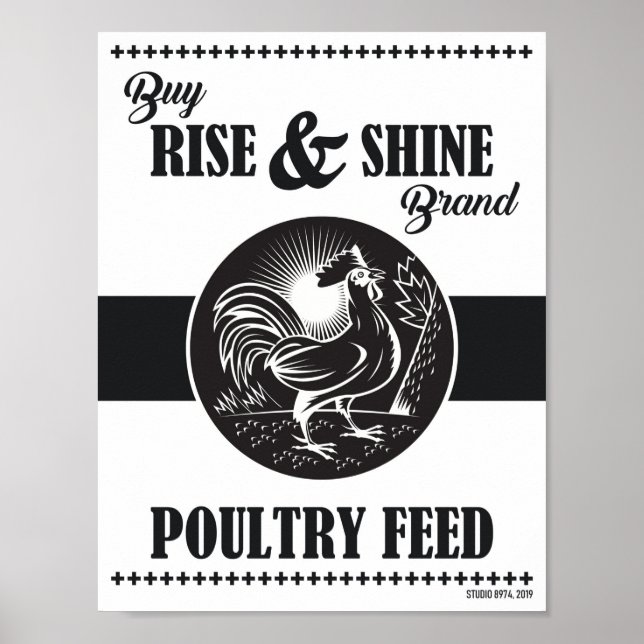 STIGA UPP & SHINE POSTER (Framsidan)