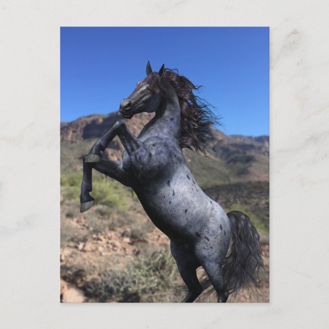 Stigande blåbrun häst i öknen vykort (Framsida)