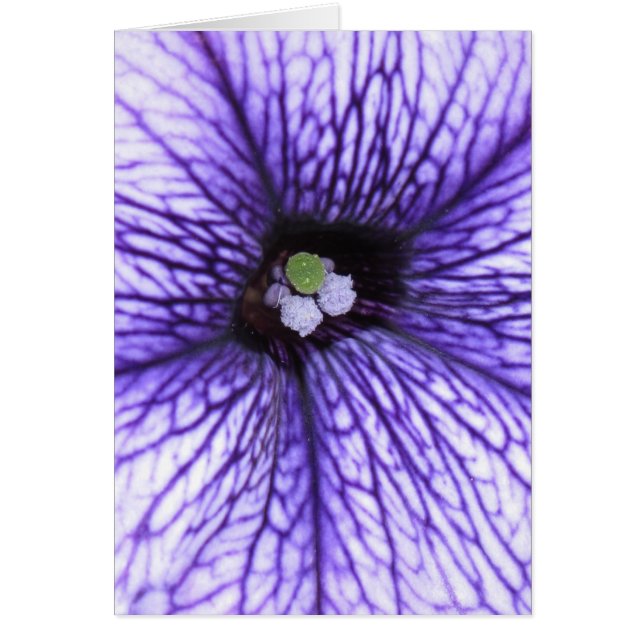 stigma hälsningskort (Framsidan)