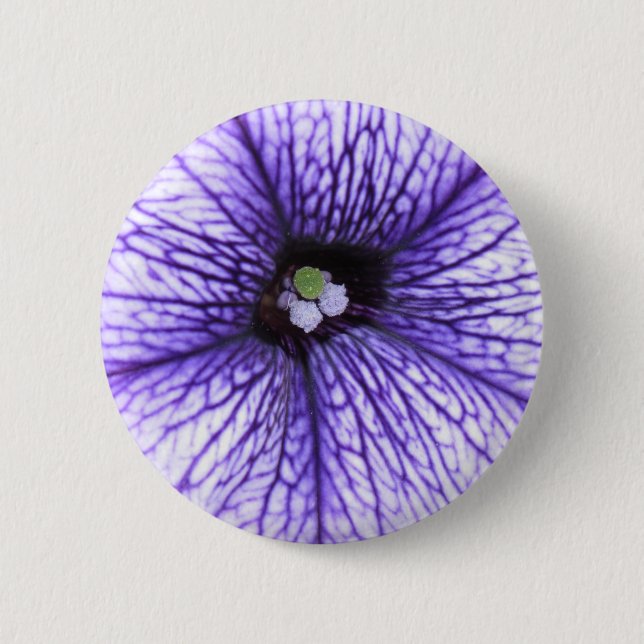 stigma knapp (Framsida)