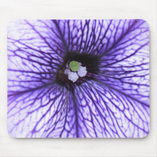 stigma musmatta (Framsidan)