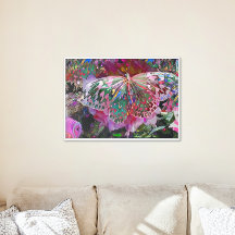 Stigning Dawn Butterfly