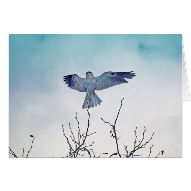 Stigning Hälsningskort (Framsidan Horizontal)