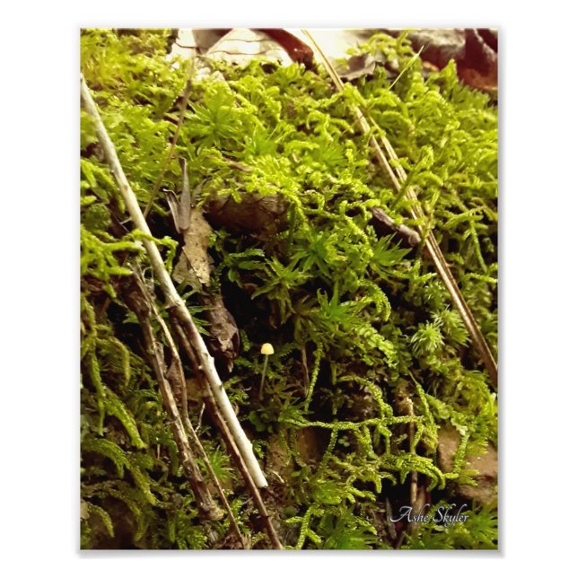 Stigning Hope Fototryck (Framsidan)