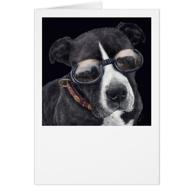 "Stil" - Bully Mix OBS Kort (Framsidan)