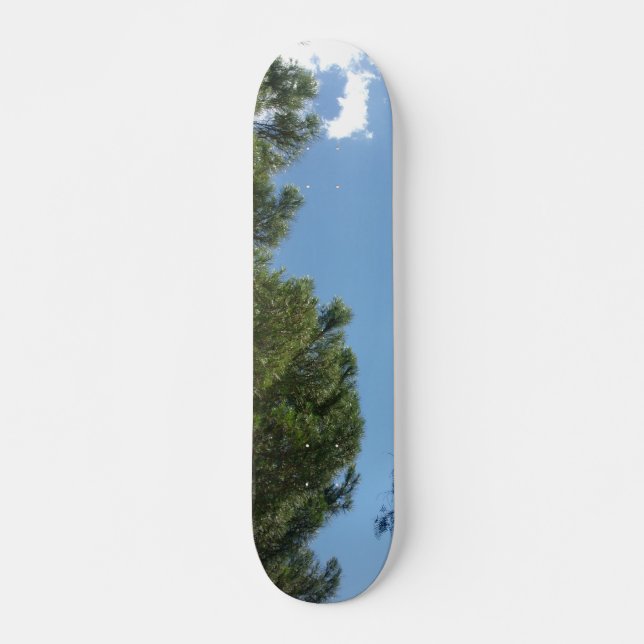 STIL OCH DESIGN FÖR SKATEBOARD (Framsida)