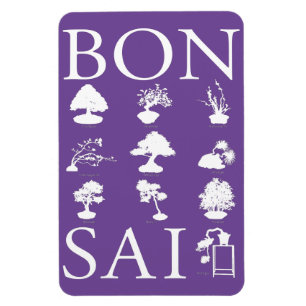 Stilar i Bonsai Träd Magnet