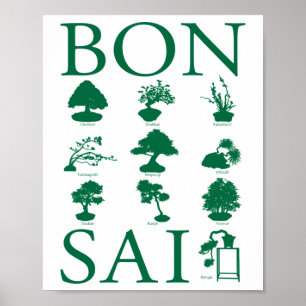 Stilar i Bonsai Träd Poster