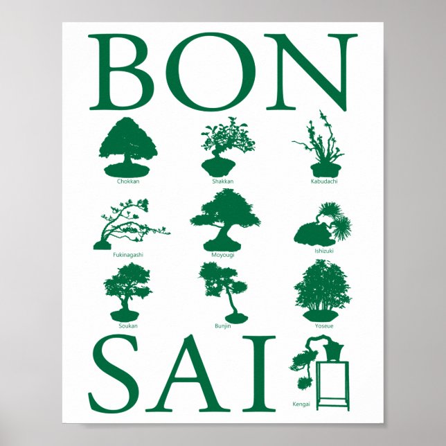 Stilar i Bonsai Träd Poster (Framsidan)