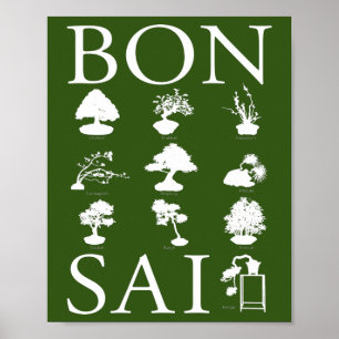 Stilar i Bonsai Träd Poster