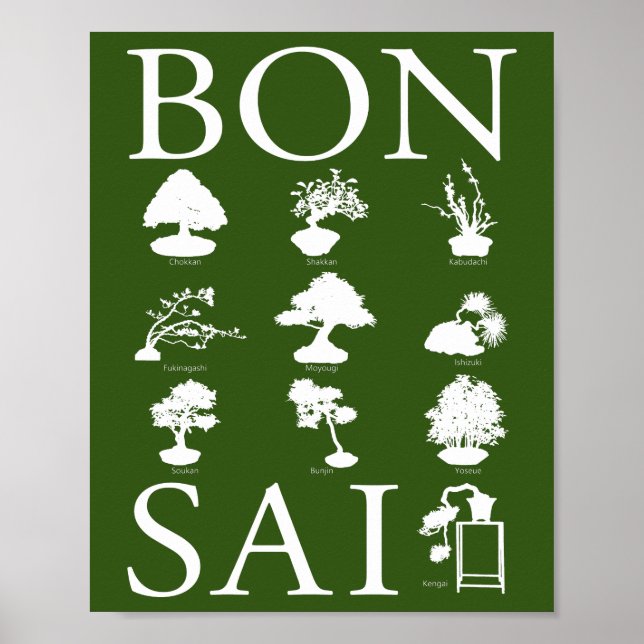 Stilar i Bonsai Träd Poster (Framsidan)