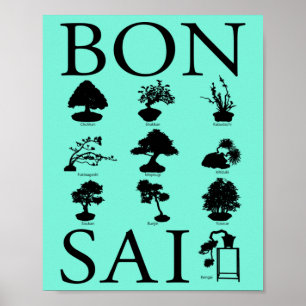 Stilar i Bonsai Träd Poster