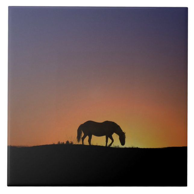 Stile för häftande konst kakelplatta (Framsidan)