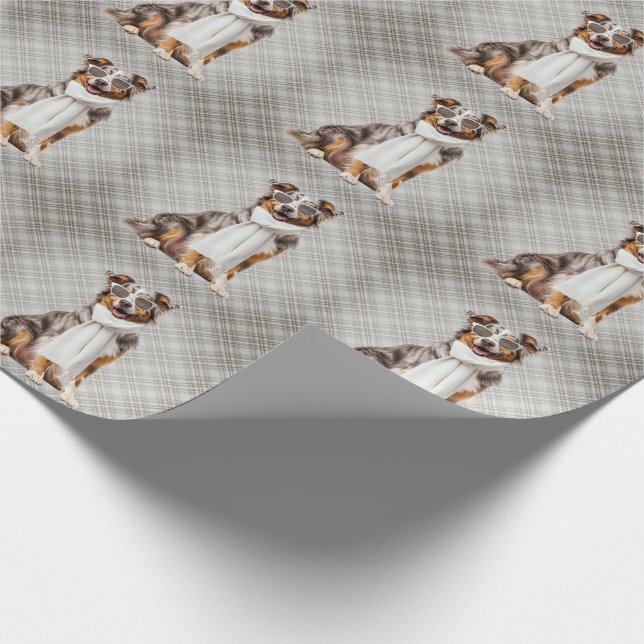 Stilfull australisk herdehund och rutig presentpapper (Hörn)