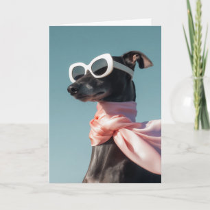 Stilfull hund med solglasögon scarf kort
