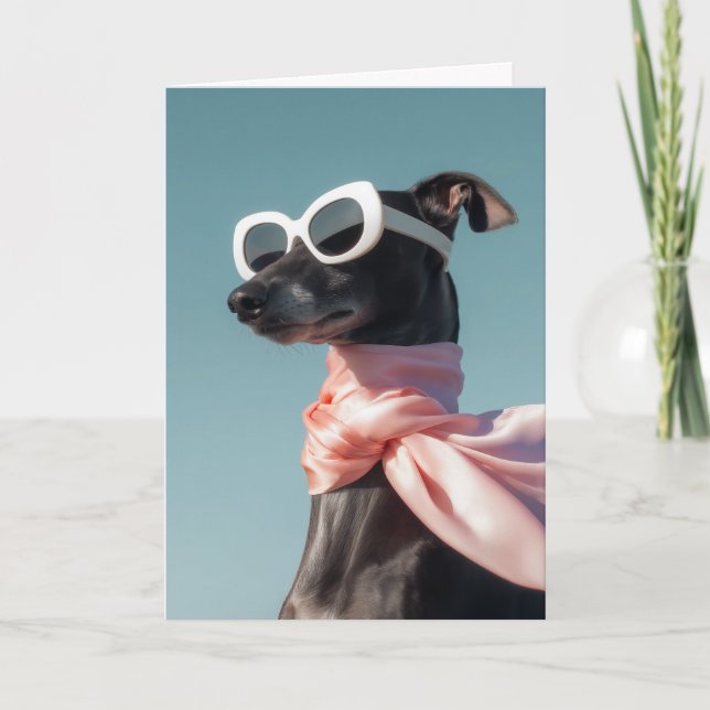 Stilfull hund med solglasögon scarf kort (Framsida)