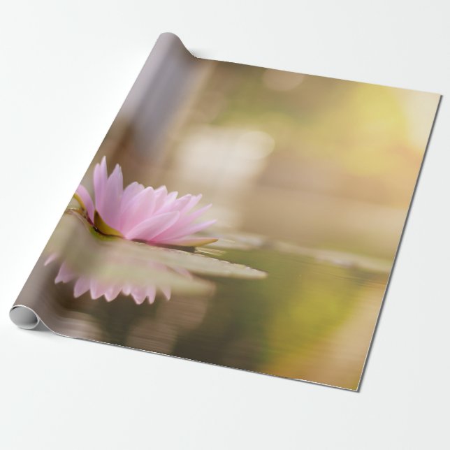 Stilfull lotusblomma landskap, Zen Presentpapper (Utrullad)