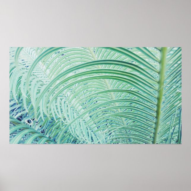 Stilfull mjuk grön växt palmblad affisch (Framsidan)