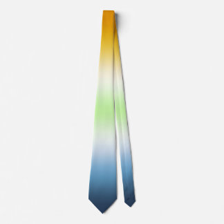 Stilfull Unisex AroAce Agender Pride Flag Slips