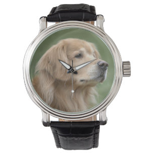 Stilig guld- Retrieverhund i Closeup Armbandsur