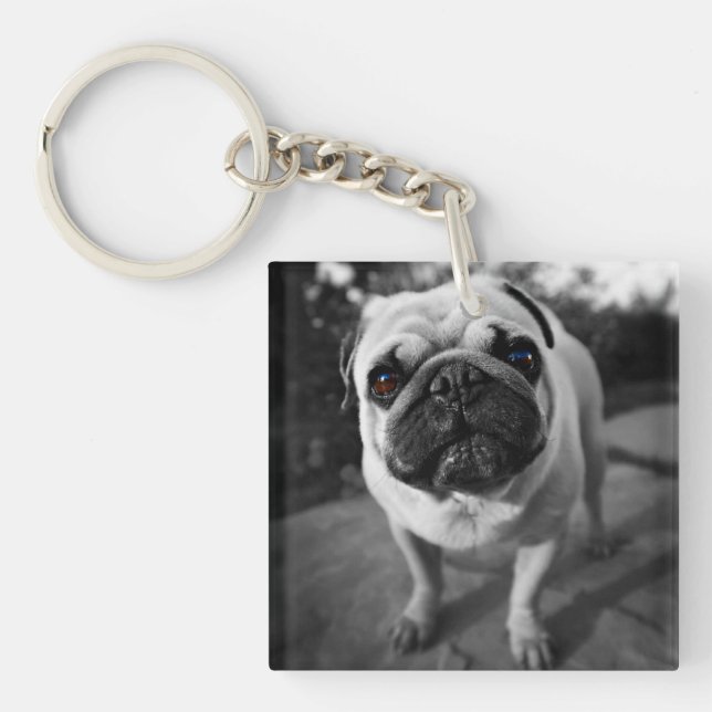 Stilig mops (Framsidan)