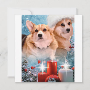 Stilig Pembroke Welsh Corgi julkort
