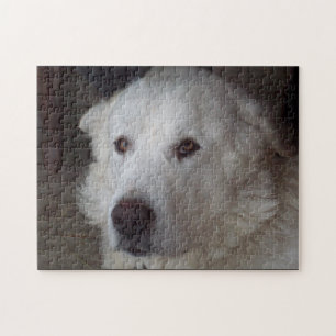 Stilig underbara Pyrenees hund Pussel