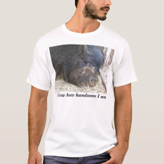Stiliga Elvis, vet jag hur den stiliga Tee Shirt