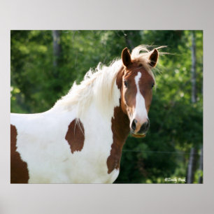 Stiliga Sonny Poster