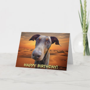 Stiligt rött dobermanfödelsedagkort kort