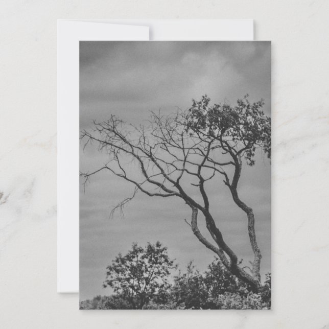 stiliserad amerikansk gothisk träd-fotoåterutskrif julkort (Framsida)