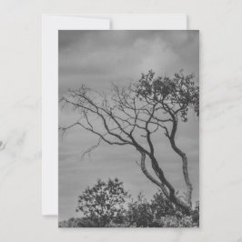 stiliserad amerikansk gothisk träd-fotoåterutskrif julkort