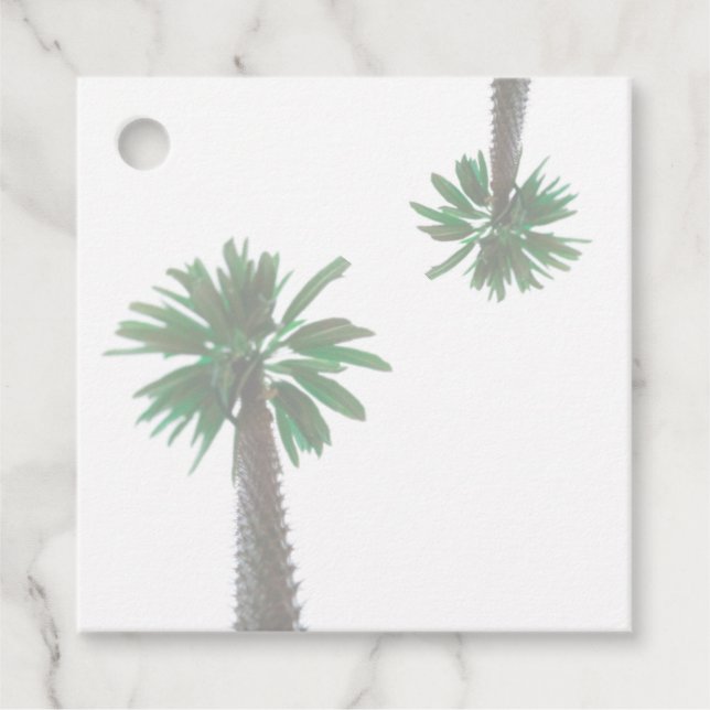 Stiliserad Handflatan Träd Pastel-Grönt Tropical Gåvor Etiketter (Framsida)