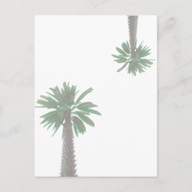 Stiliserad Handflatan Träd Pastel-Grönt Tropical Vykort (Framsida)