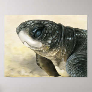 Stiliserad lädersköldpadda poster