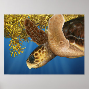 Stiliserad Loggerhead Sea Turtle med Sargassum Poster