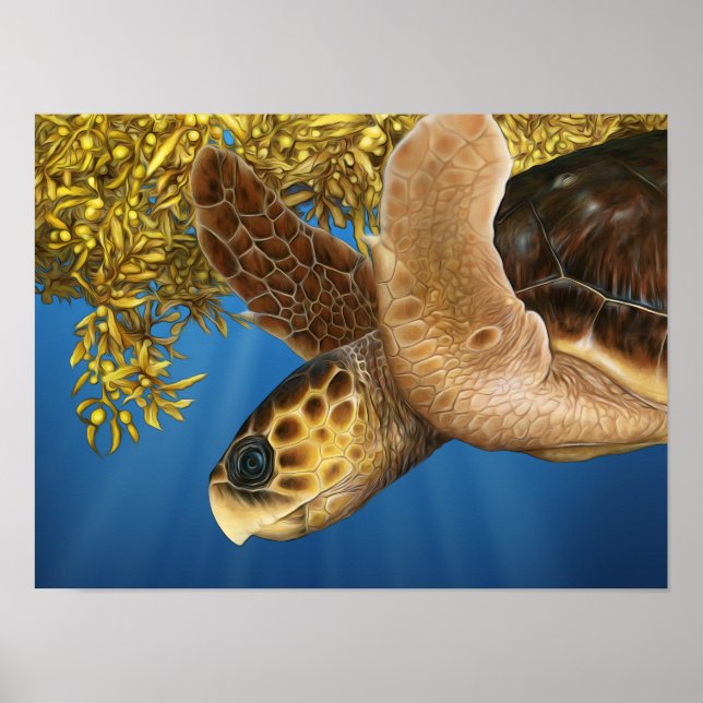 Stiliserad Loggerhead Sea Turtle med Sargassum Poster (Framsidan)