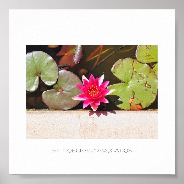 Stiliserad röd Grönt Vatten Lily Flower Plants Pos Poster (Framsidan)