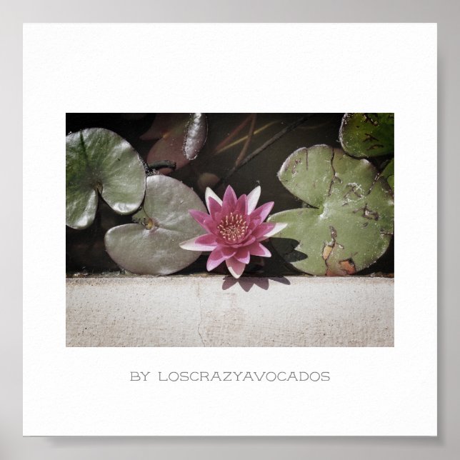 Stiliserad röd Grönt Vatten Lily Flower Plants Pos Poster (Framsidan)