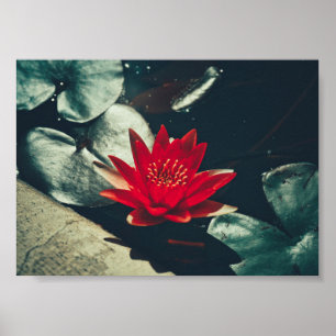 Stiliserad röd Grönt Vatten Lily Flower Plants Pos Poster