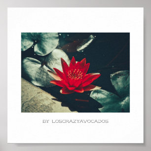 Stiliserad röd Grönt Vatten Lily Flower Plants Pos Poster