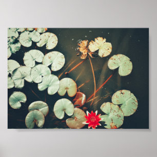 Stiliserad röd Grönt Vatten Lily Flower Plants Pos Poster
