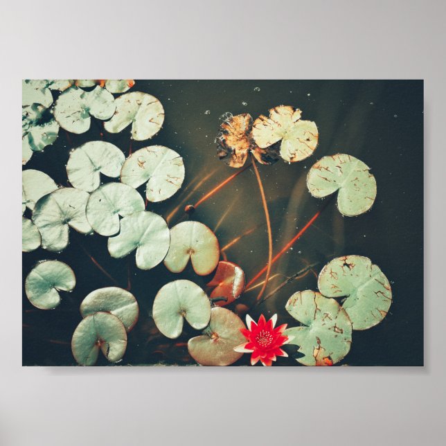 Stiliserad röd Grönt Vatten Lily Flower Plants Pos Poster (Framsidan)