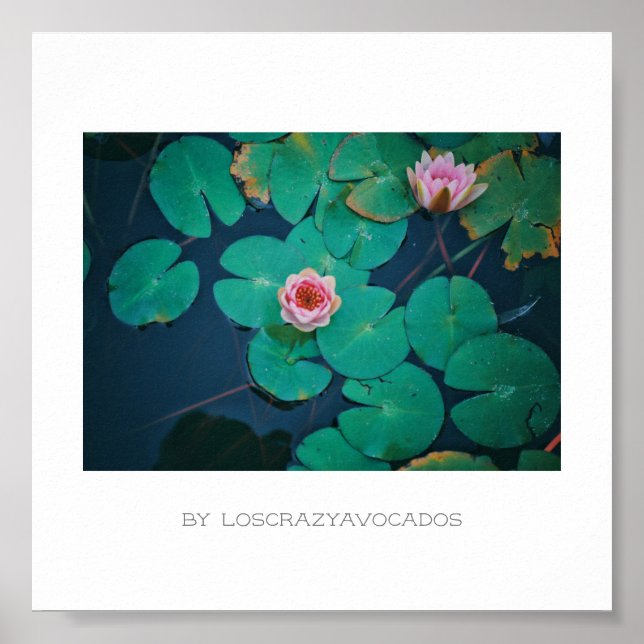 Stiliserad Rosa Vatten Lily Flowers Plants Poster (Framsidan)